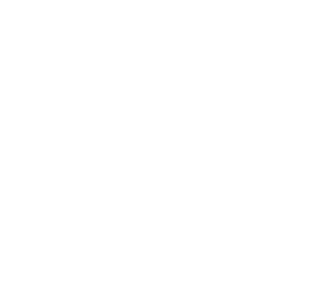 dp-logo-symbol-white